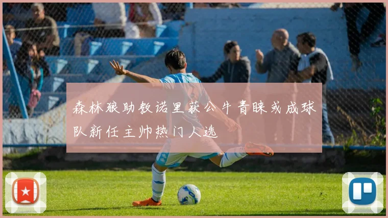 森林狼助教诺里获公牛青睐或成球队新任主帅热门人选