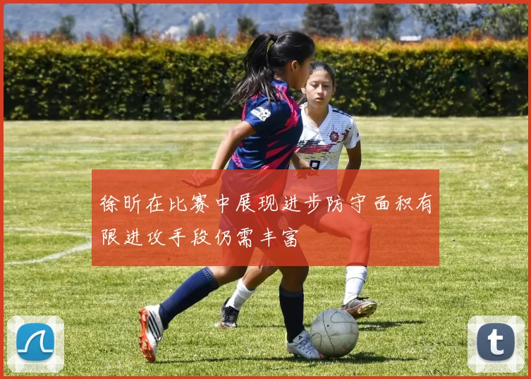 徐昕在比赛中展现进步防守面积有限进攻手段仍需丰富