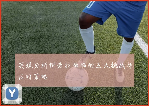 英媒分析伊劳拉面临的五大挑战与应对策略